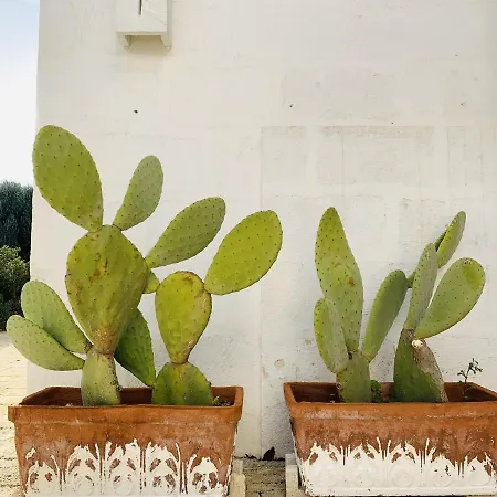 Masseria San Francesco Le Dimore 3* Савеллетри