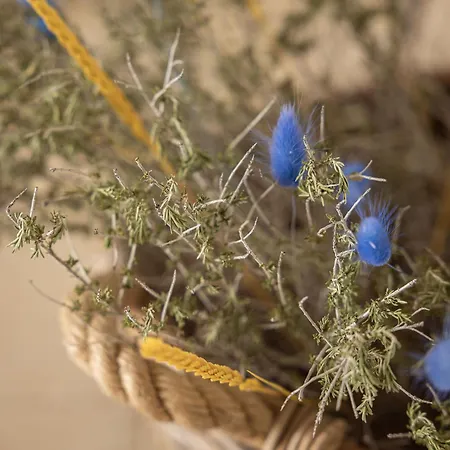 Masseria San Francesco 度假村 3*