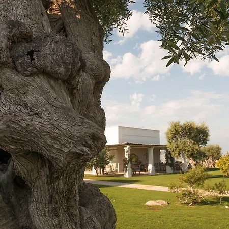 Masseria San Francesco 3* 萨维勒特里