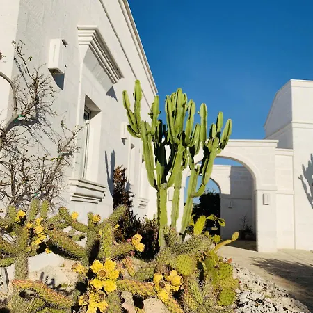 度假村 Masseria San Francesco 萨维勒特里