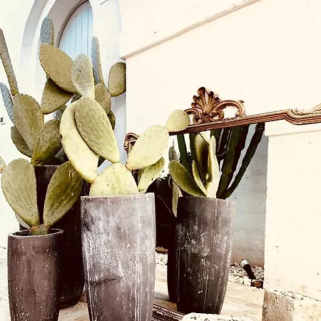 Masseria San Francesco 萨维勒特里