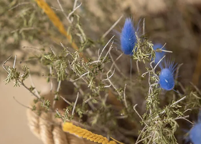 Masseria San Francesco Resort 3*