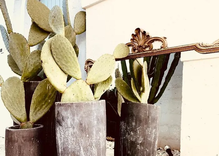 Masseria San Francesco Savelletri