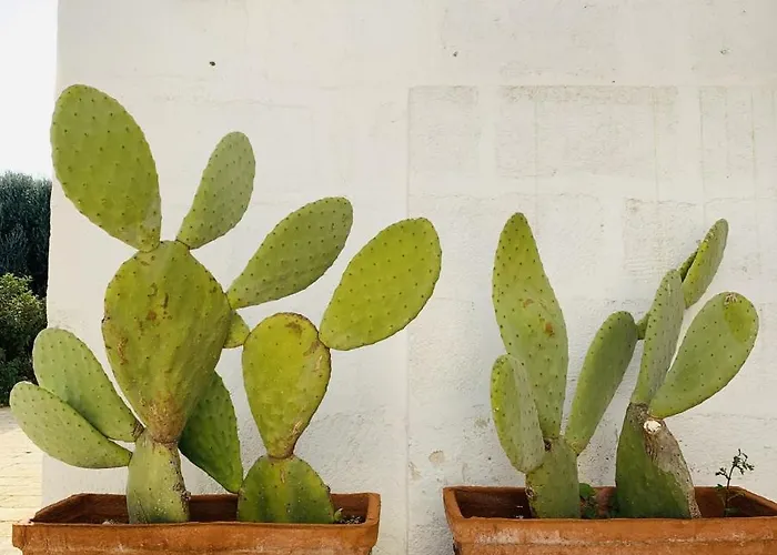 Masseria San Francesco 3* Savelletri